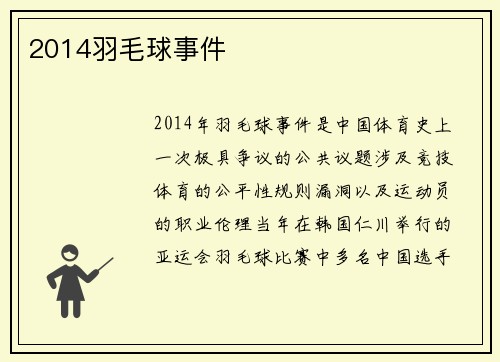 2014羽毛球事件