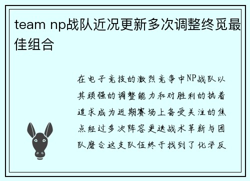 team np战队近况更新多次调整终觅最佳组合